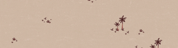 十大电脑rogue卡牌游戏推荐 十大电脑rogue卡牌游戏合集(图4)