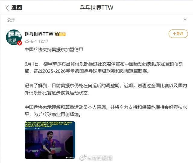 观点：运动员的优秀不止于竞技樊振东留洋的本质是因热爱主动走出舒适区(图8)