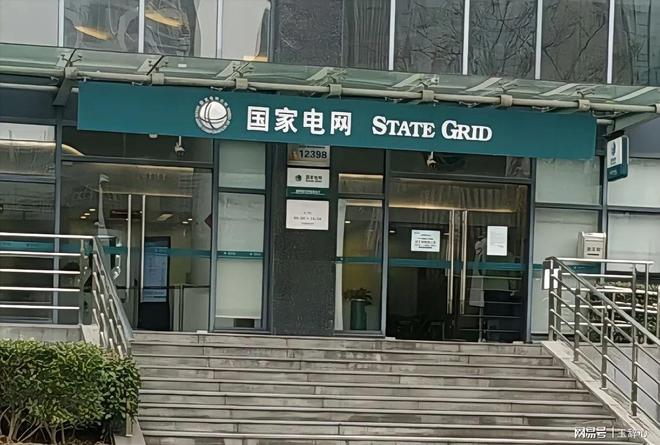 什么样的学校好进电网系统？