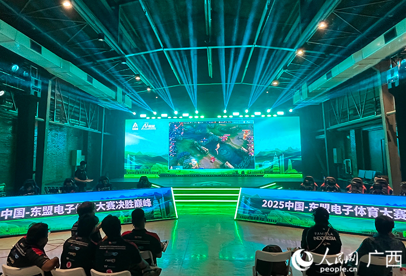 2025中国—东盟电子体育产业活动周启幕(图3)