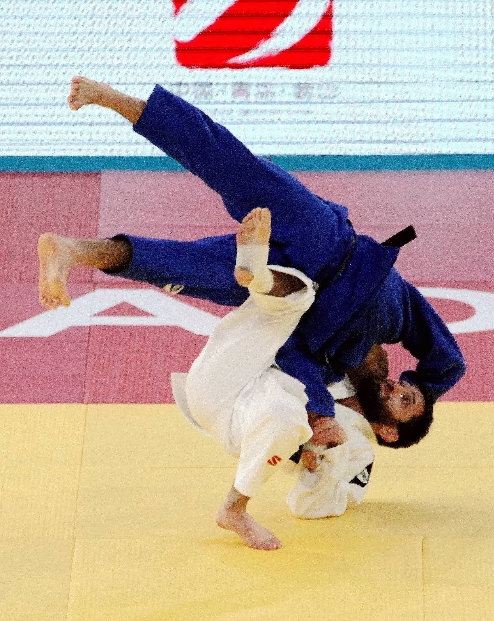 世界顶级赛事重磅来袭 211名顶尖高手巅峰对决 2025国际柔联柔道大奖赛落地青岛(图3)