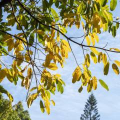 什么年龄学电竞好就业(图2)