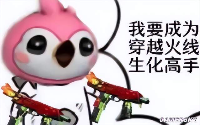 这对吗？“CF校长”们实际上是一群大学生？(图13)