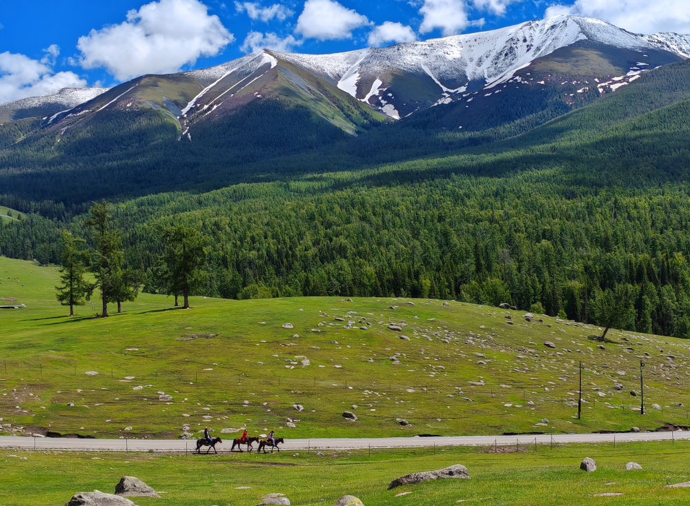 镜观·回响丨中华文化迸发赋能发展之力(图2)