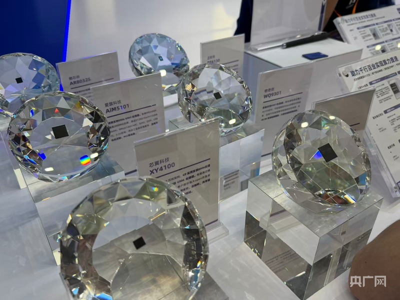 2025湾芯展落幕：产业链全景呈现 “中国芯”集中亮相(图2)