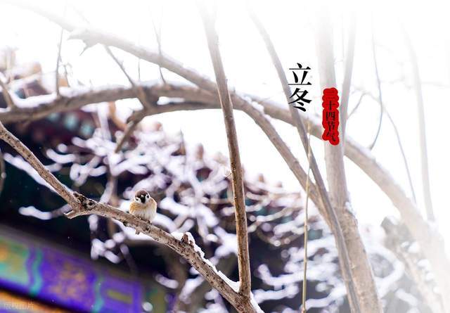 今年立冬有五大特点是哪五大特点看农谚是咋说的有道理吗？(图2)