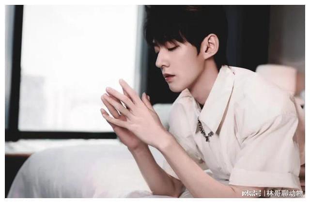 内娱当红男星十大帅哥(图3)