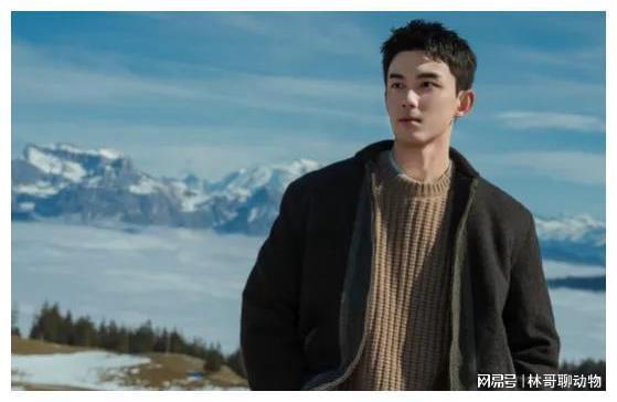 内娱当红男星十大帅哥(图5)