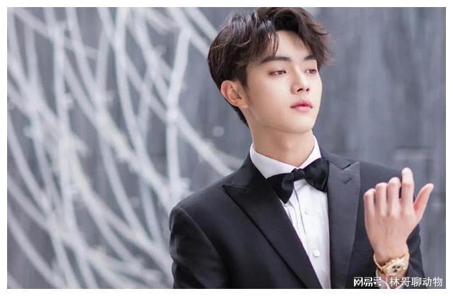 内娱当红男星十大帅哥(图8)