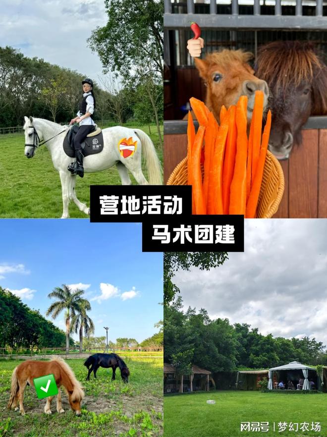 番禺露营团建人均150+承包全天快乐！(图3)