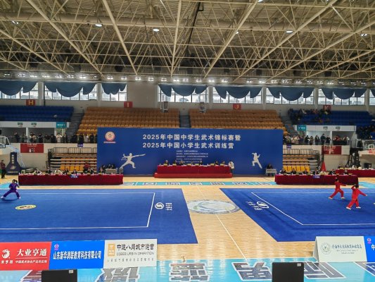 武动青春 竞耀泉城——2025 年中国中学生武术锦标赛暨小学生武术训练营盛大启幕