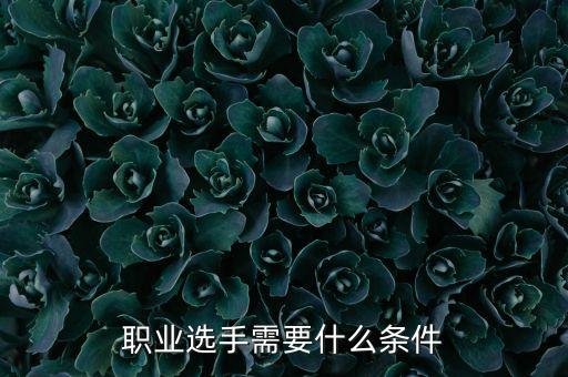 成为电竞职业选手的要求和标准如何成为一名职业电竞选手？(图2)