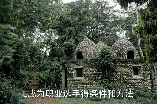 成为电竞职业选手的要求和标准如何成为一名职业电竞选手？(图3)