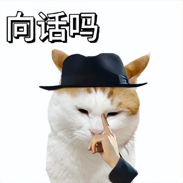 赔光11万美元皮肤！电竞选手把粉丝当提款机拖延两年终爆雷(图7)