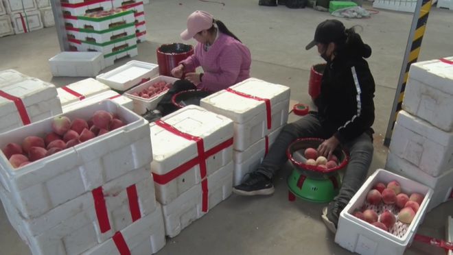 闫各庄镇葡萄产业“甜蜜升级”：新品种+新技术撬动大市场(图6)