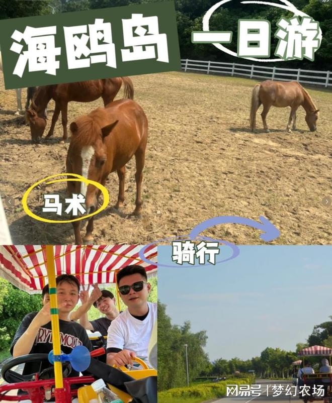 广州的宝藏农庄！太适合广州公司团建啦！(图3)