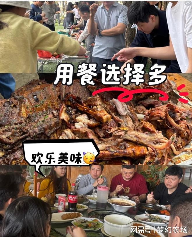 广州的宝藏农庄！太适合广州公司团建啦！(图2)