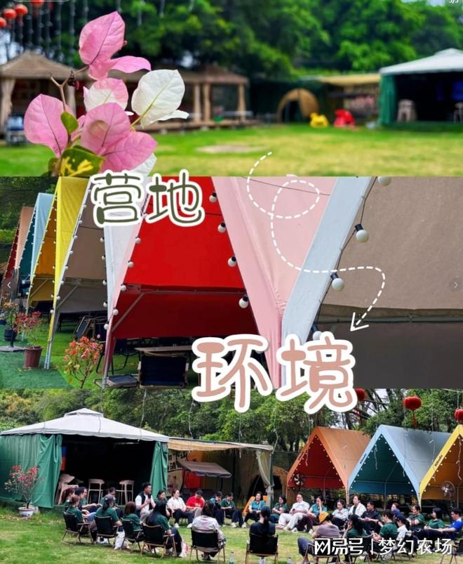 广州的宝藏农庄！太适合广州公司团建啦！(图5)